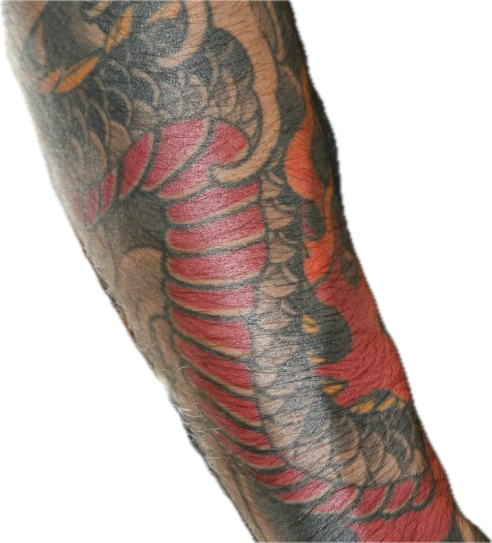Colour dragon tattoo covering a forearm
